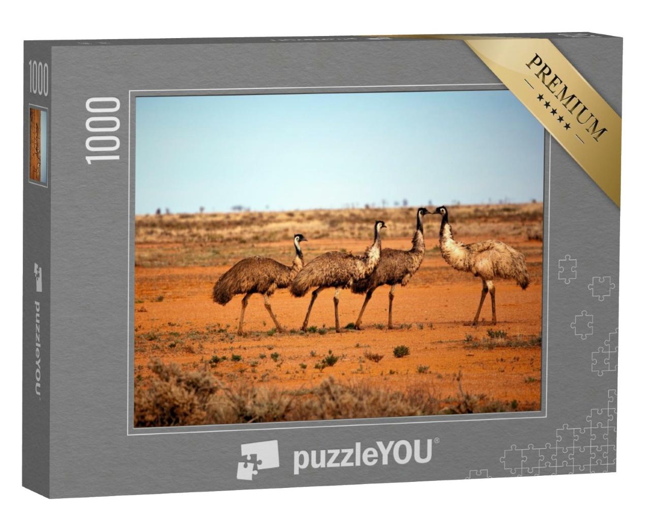 Puzzle de 1000 pièces « Emeus à l'état sauvage, Outback New South Wales, Australie. »