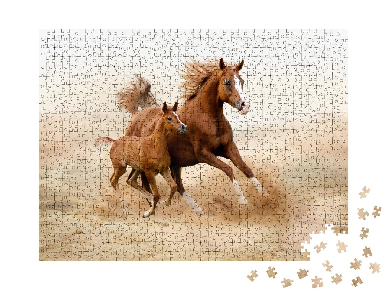 Puzzle de 1000 pièces « Cheval arabe de pure race »