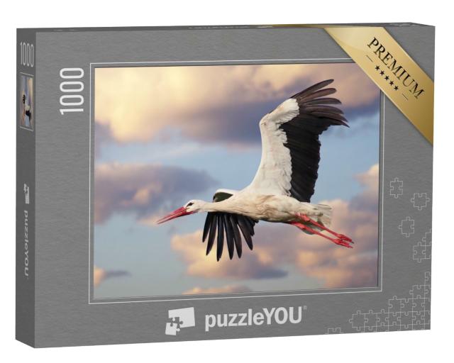 Puzzle de 1000 pièces « Une cigogne blanche en vol avec un ciel nuageux »