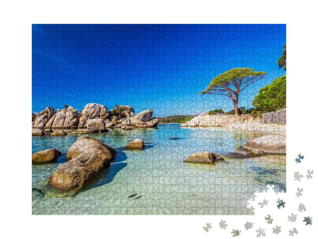 Puzzle de 1000 pièces « Pin sur la plage de Palombaggia dans le sud de la Corse »