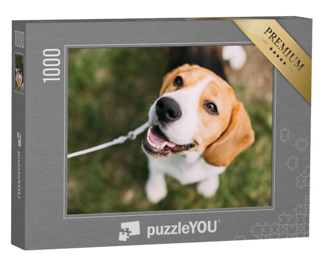 Puzzle de 1000 pièces « Un chiot beagle sur l'herbe »