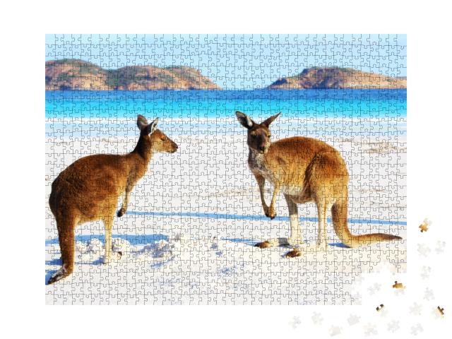 Puzzle de 1000 pièces « Kangourous sur la plage, parc national de Cape Le Grand, Lucky Bay, Australie occidentale »