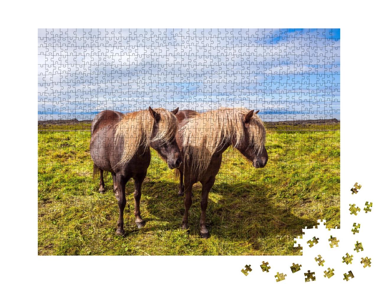Puzzle de 1000 pièces « Chevaux islandais dans la toundra estivale d'Islande »