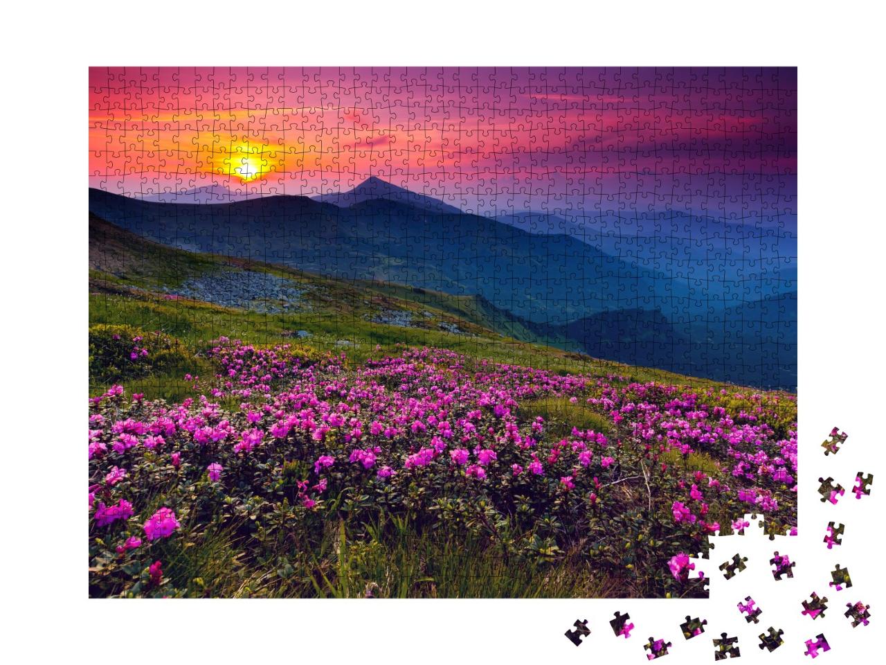 Puzzle de 1000 pièces « Rhododendrons roses en fleurs au-dessus des montagnes »