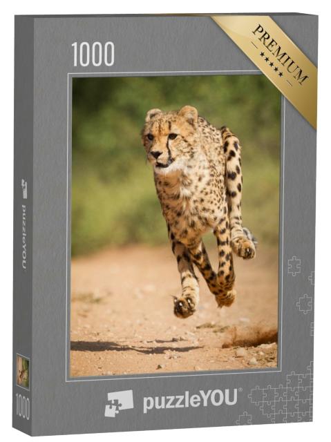 Puzzle de 1000 pièces « Guépard rapide, Parc Kruger, Afrique du Sud »