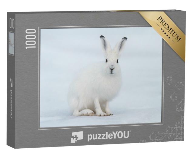 Puzzle de 1000 pièces « Un lièvre blanc dans la toundra, Sibérie »
