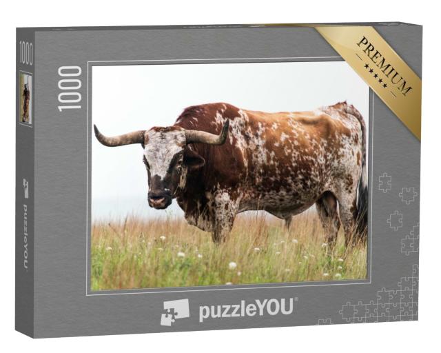 Puzzle de 1000 pièces « Taureau Texas-Langhorn dans le Wichita Mountains National Wildlife Refuge, Oklahoma »