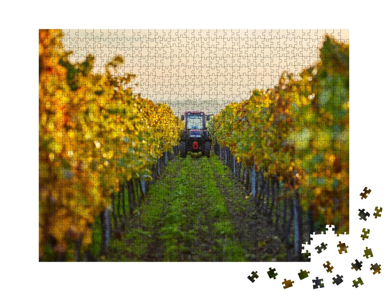 Puzzle de 1000 pièces « Rangées automnales de vignes avec un tracteur »