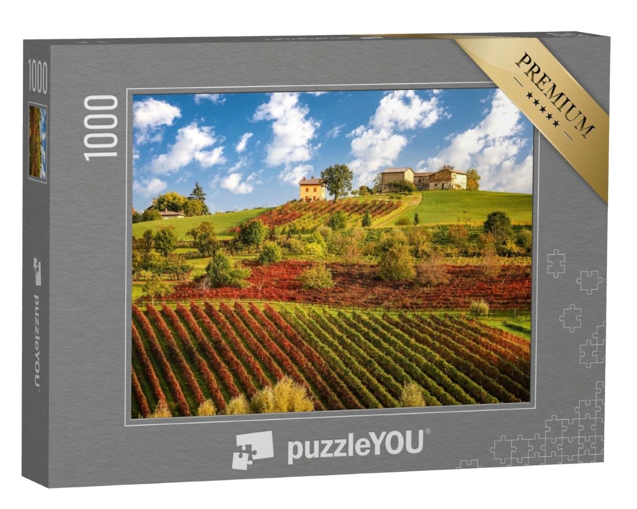 Puzzle de 1000 pièces « Vignobles de Lambrusco près de Castelvetro, Émilie-Romagne, Italie »