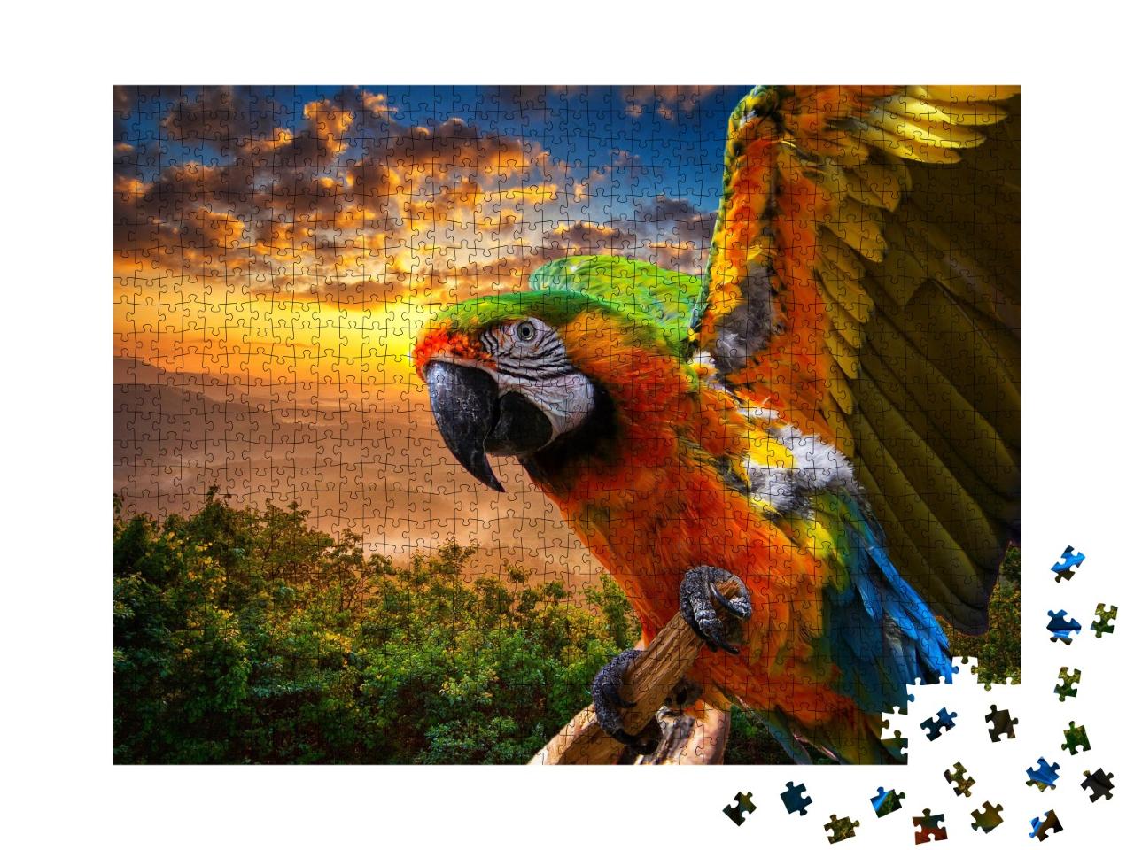 Puzzle de 1000 pièces « Splendides couleurs de la nature : Ara au coucher du soleil »