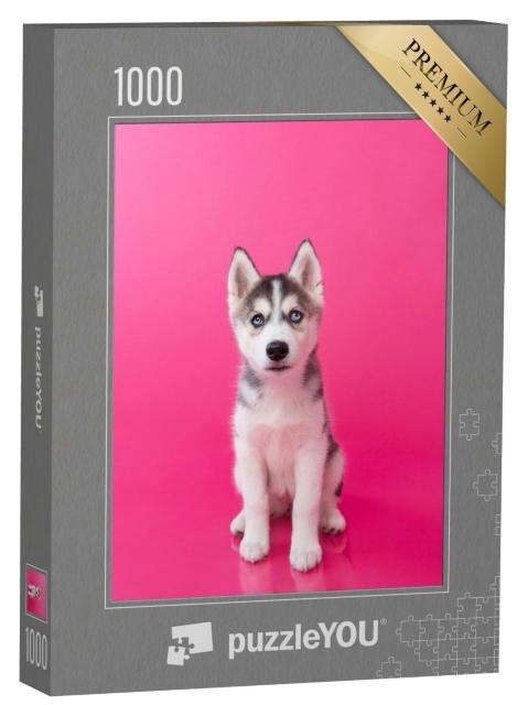 Puzzle de 1000 pièces « Chiot husky sur fond rose »