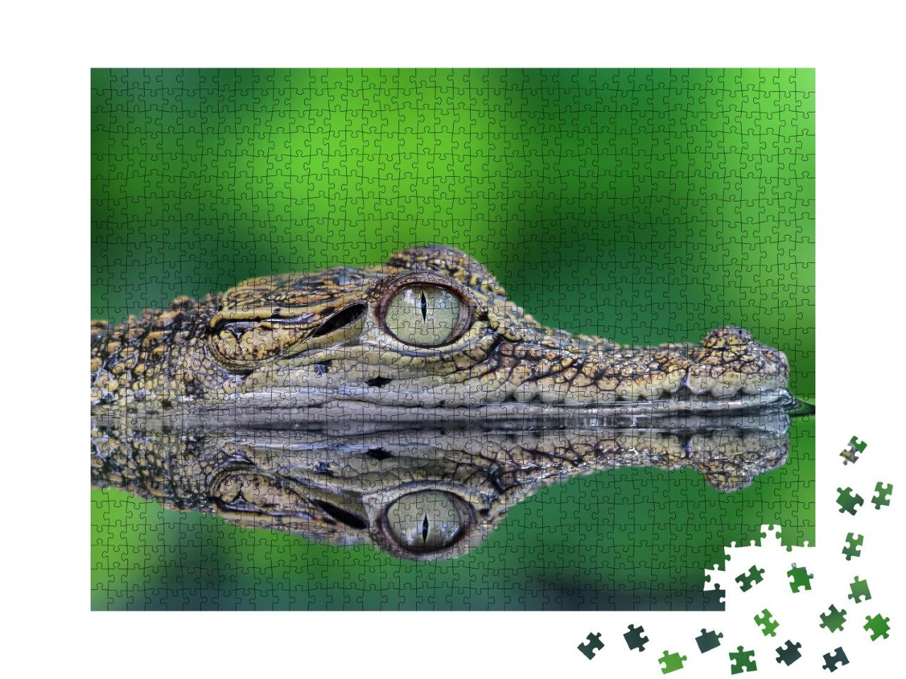 Puzzle de 1000 pièces « Crocodile avec reflet »