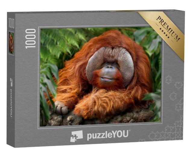 Puzzle de 1000 pièces « Forêt tropicale humide avec orangs-outans »