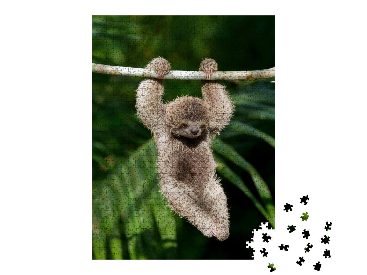 Puzzle de 1000 pièces « Un adorable bébé paresseux se balance à une branche d'arbre »