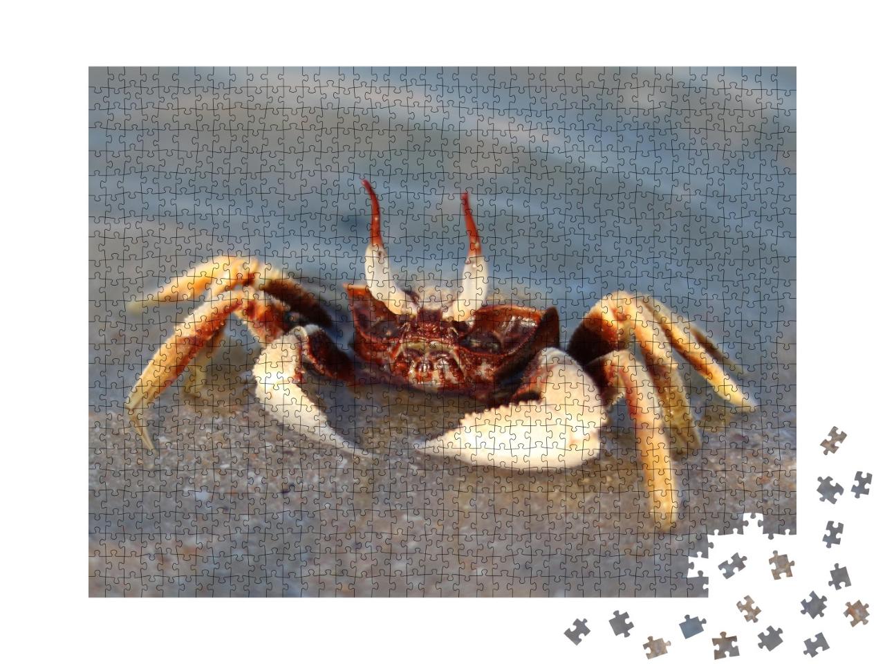 Puzzle de 1000 pièces « Crabe aux yeux fantômes dans la mer »