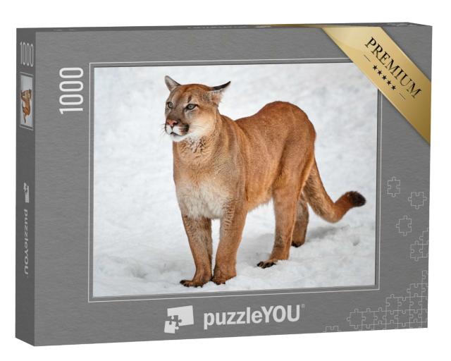 Puzzle de 1000 pièces « Puma en chat sauvage dans la neige »