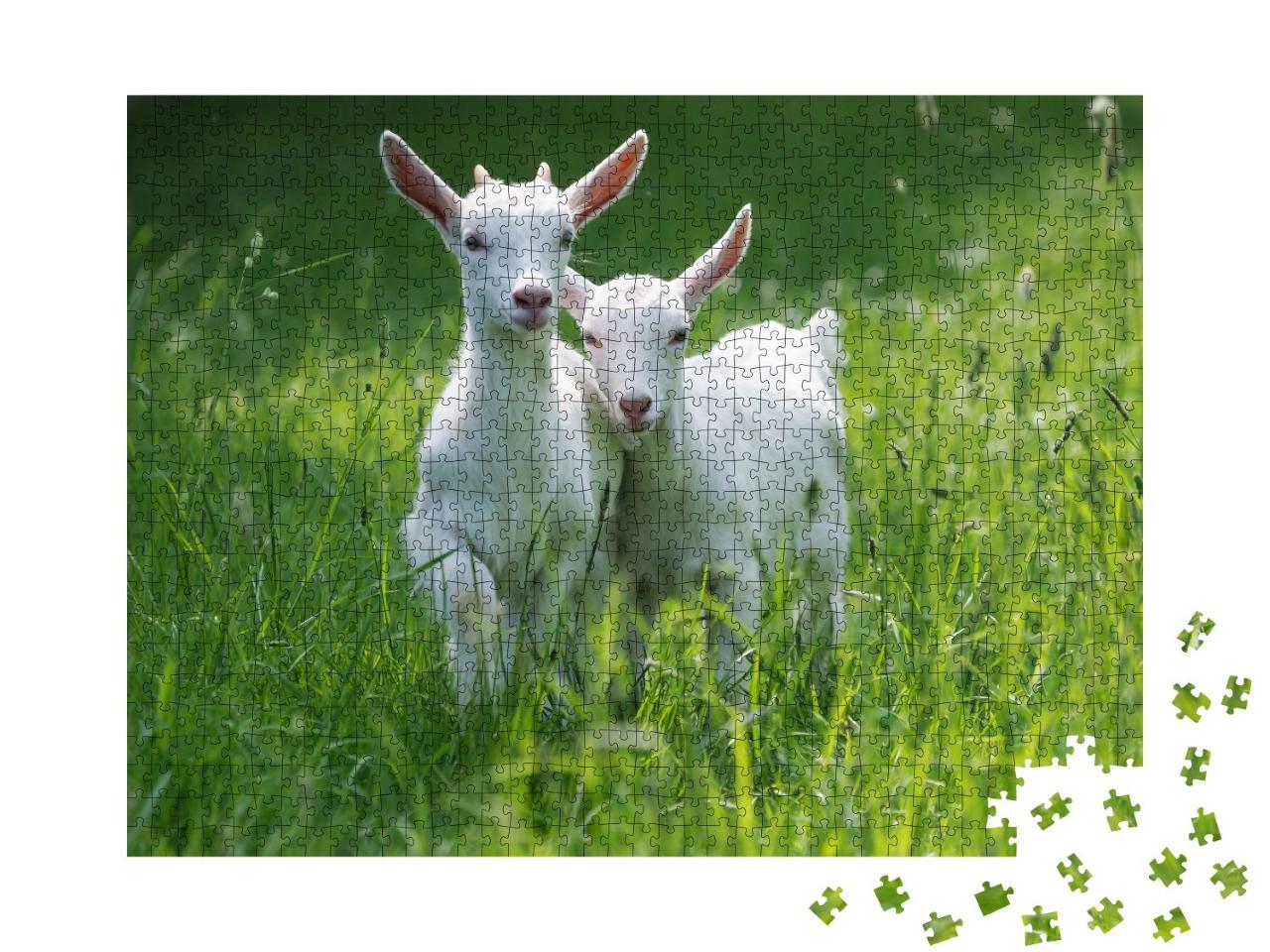 Puzzle de 1000 pièces « Deux bébés chèvres dans l'herbe haute de l'été »