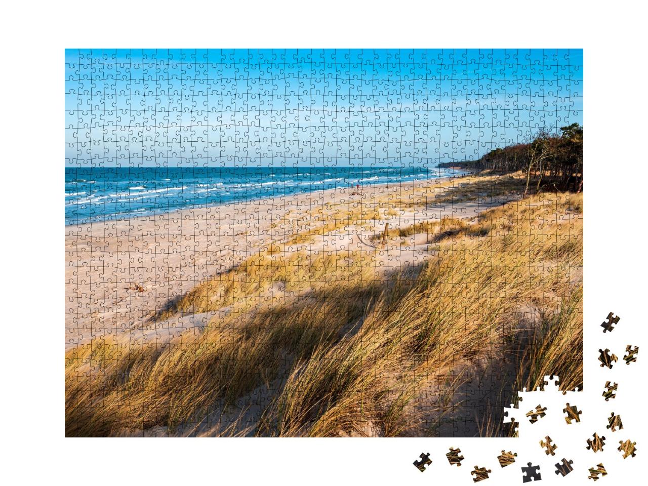 Puzzle de 1000 pièces « Dunes côtières de la mer Baltique, péninsule de Darß, Allemagne »