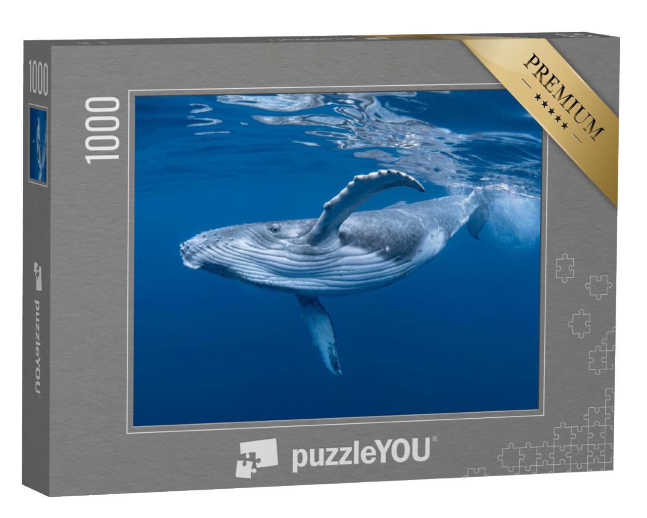 Puzzle de 1000 pièces « Un bébé baleine à bosse joue dans l'eau près de la surface »