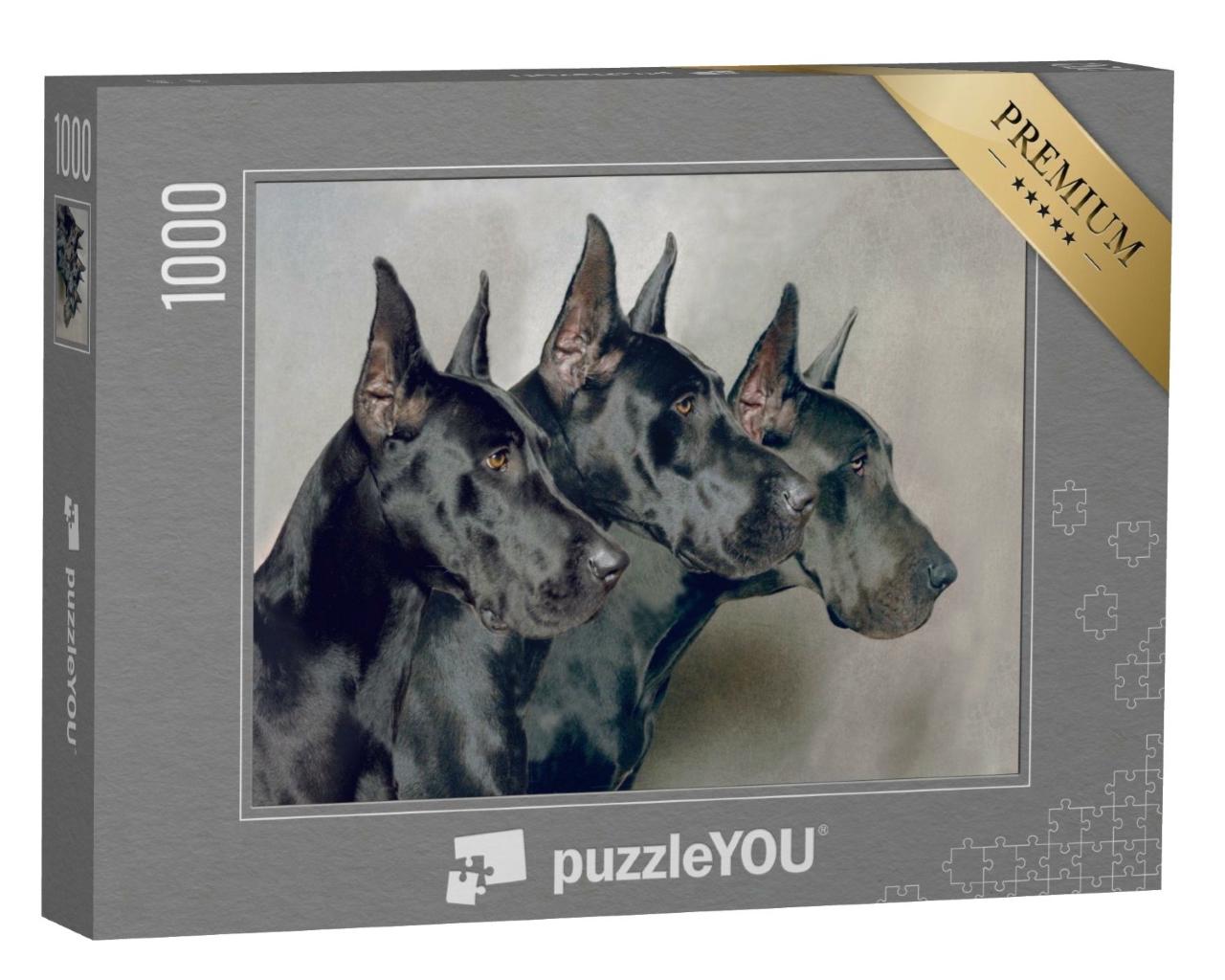 Puzzle de 1000 pièces « Trois générations de dogues allemands »