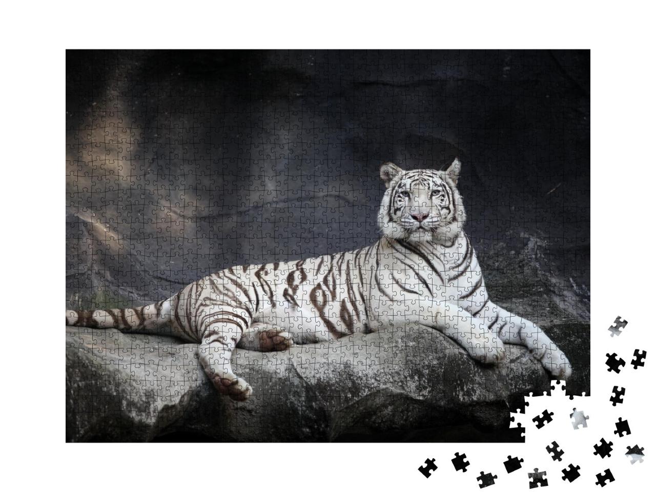 Puzzle de 1000 pièces « Tigre blanc »