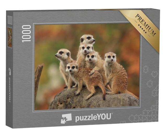 Puzzle de 1000 pièces « Groupe de suricates »
