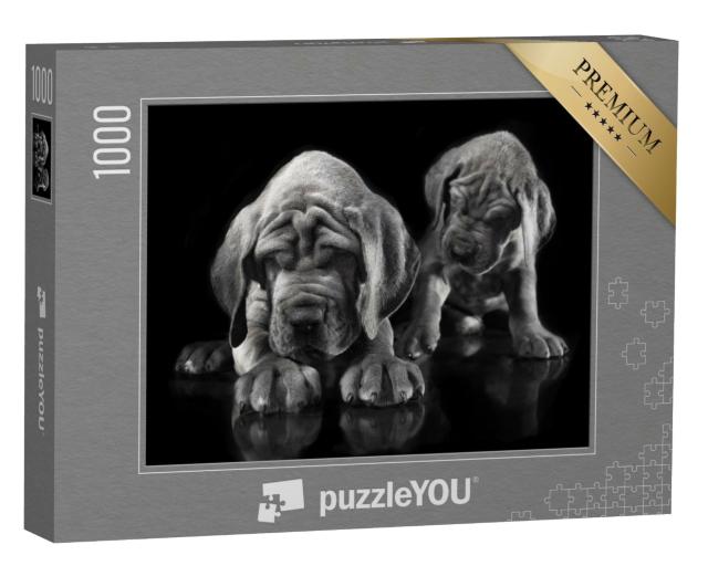 Puzzle de 1000 pièces « Dogue allemand : un chiot réveille l'autre »