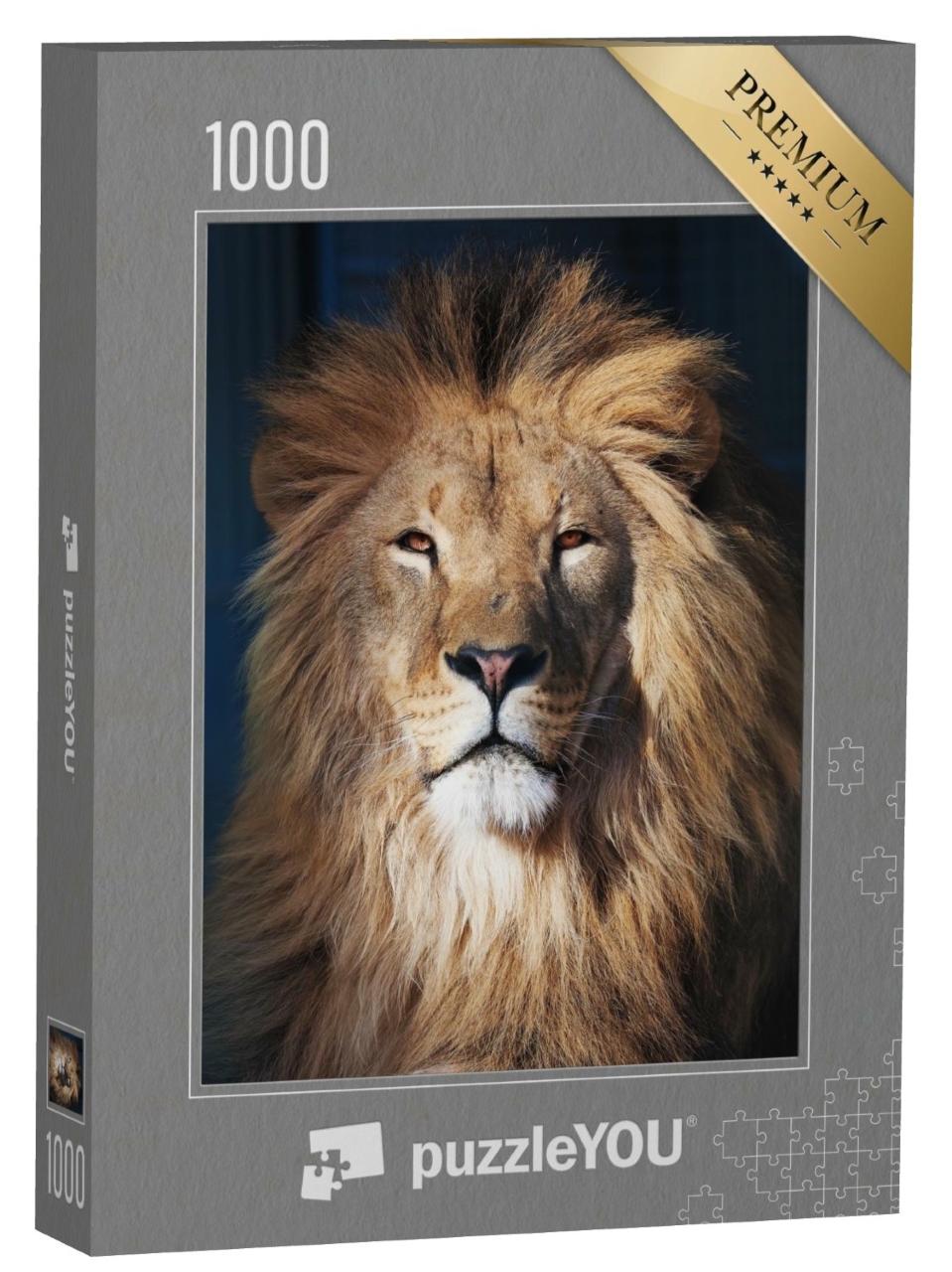 Puzzle de 1000 pièces « Portrait d'un lion »