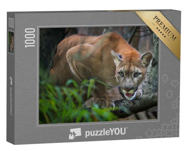 Puzzle de 1000 pièces « Un lion de montagne en chasse »