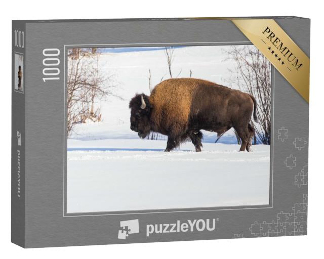 Puzzle de 1000 pièces « Bison américain au milieu d'un paysage hivernal »