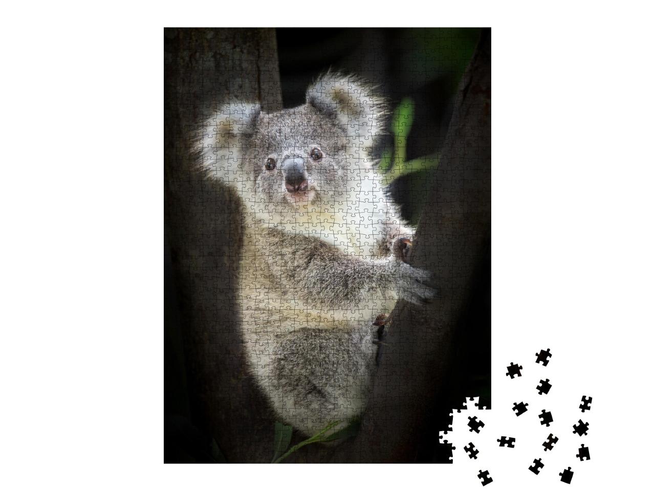 Puzzle de 1000 pièces « Koala au zoo »