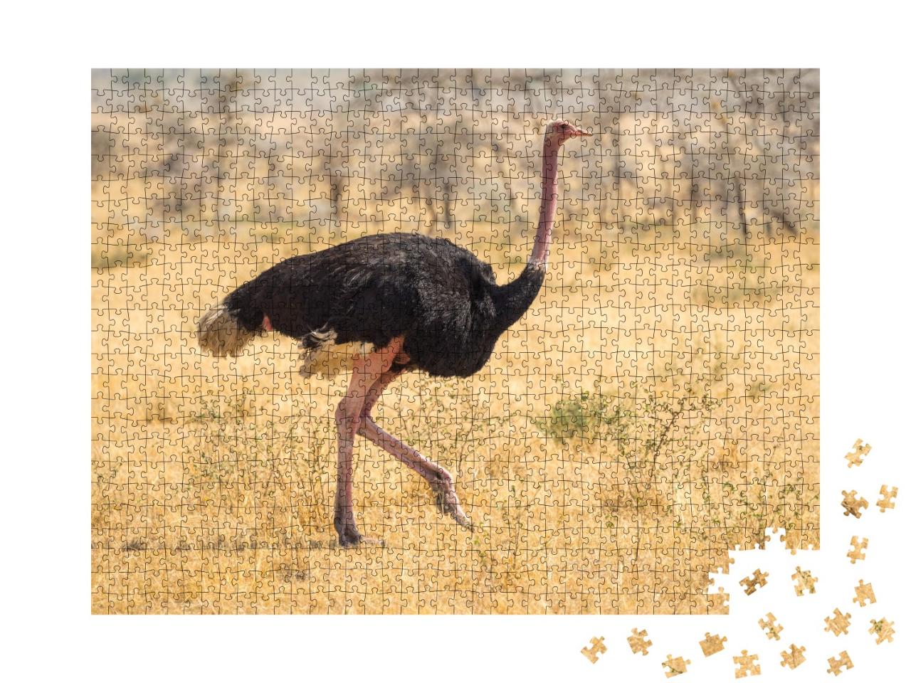 Puzzle de 1000 pièces « Migration des autruches dans la steppe en Afrique »