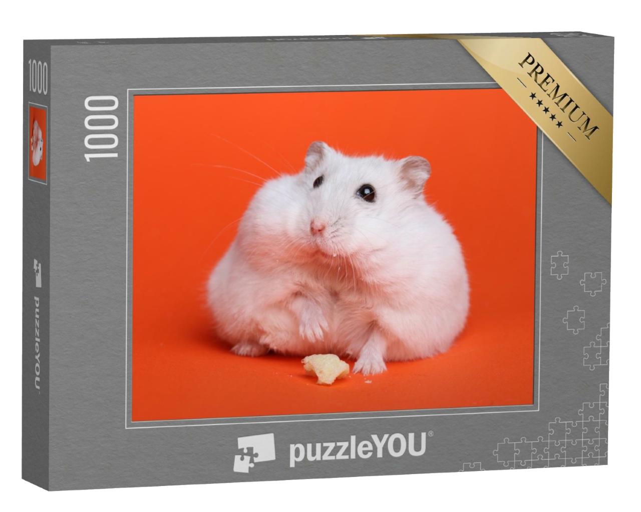 Puzzle de 1000 pièces « Hamster blanc duveteux »