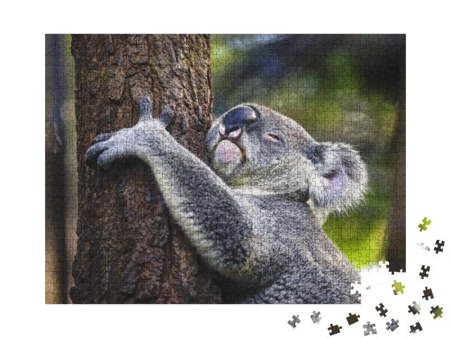 Puzzle de 1000 pièces « Koala fatigué sur un arbre »