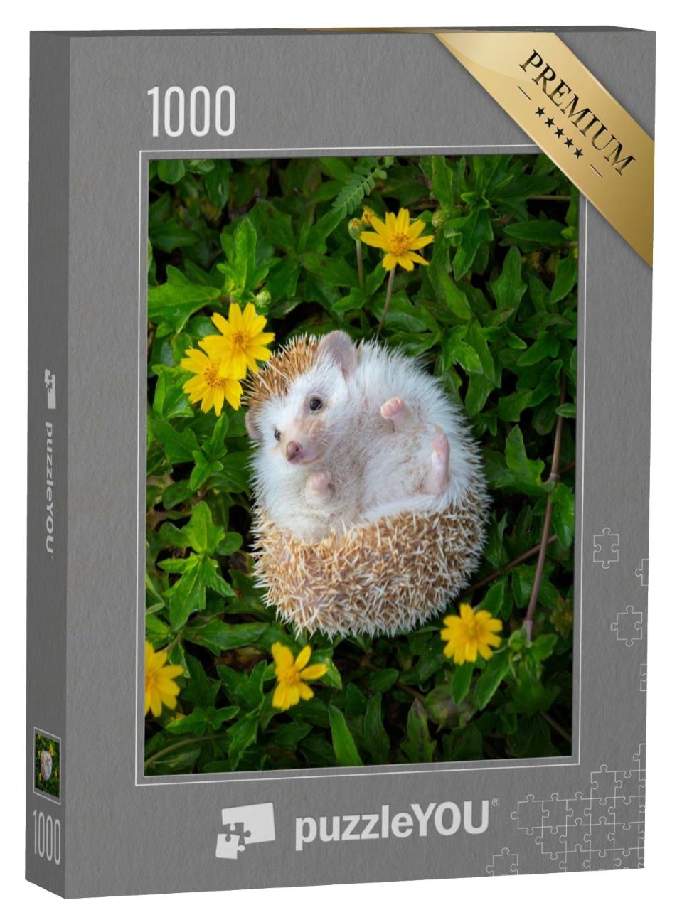 Puzzle de 1000 pièces « Un petit hérisson dans un jardin de fleurs »