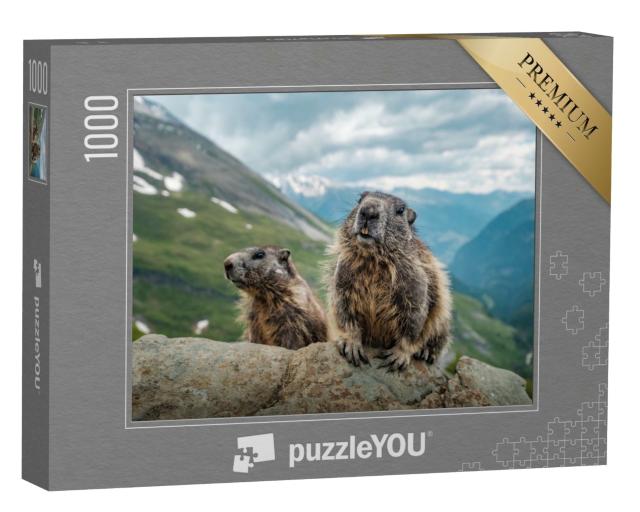Puzzle de 1000 pièces « Deux marmottes et une belle vue sur le Grossglockner »