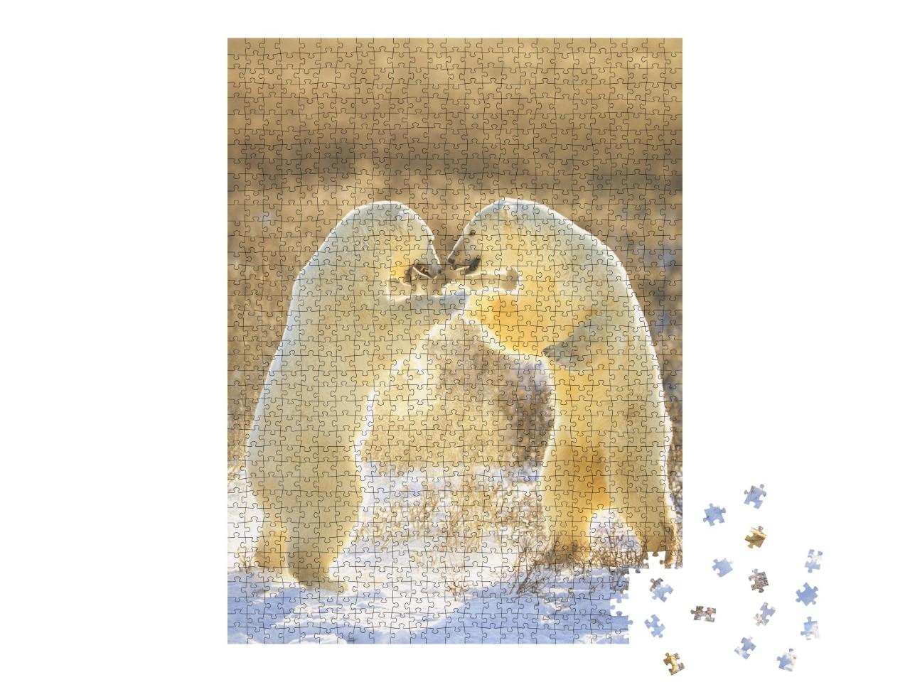 Puzzle de 1000 pièces « Ours polaires du Canada »