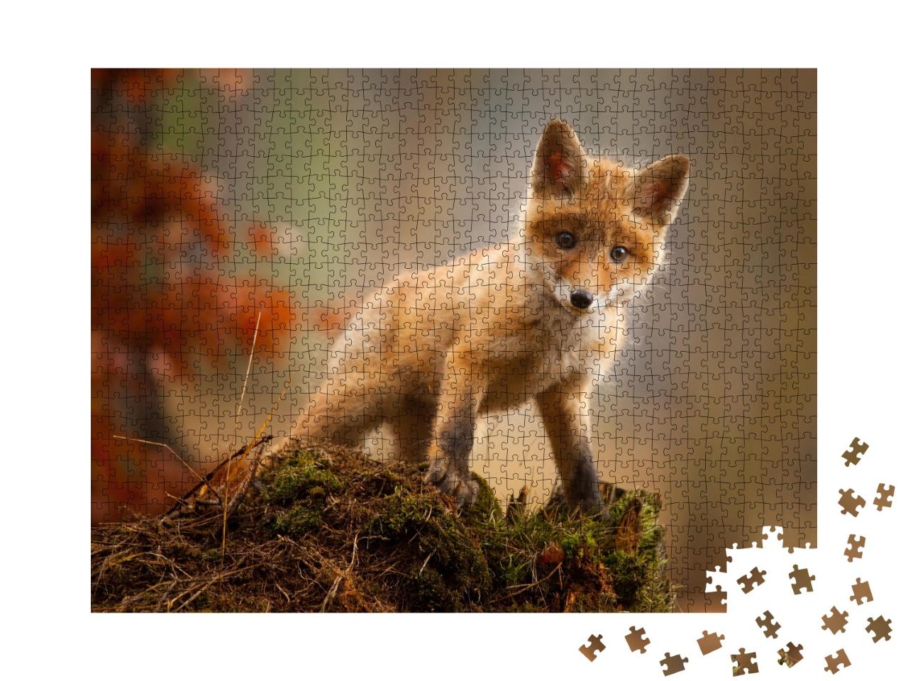 Puzzle de 1000 pièces « Un jeune renard »