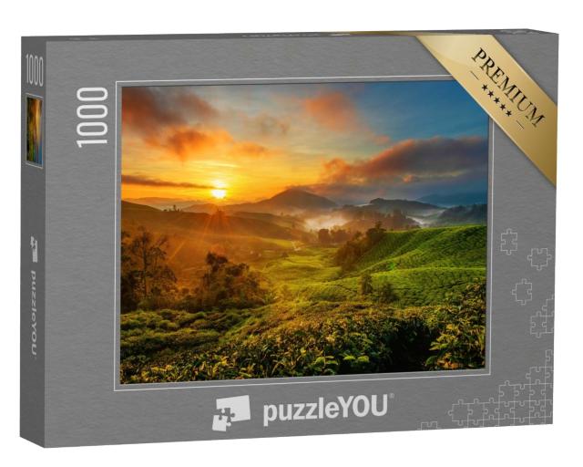 Puzzle de 1000 pièces « Lever de soleil sur une plantation de thé dans les Cameron Highland, Malaisie »
