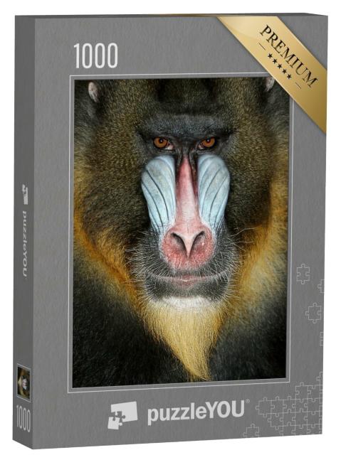 Puzzle de 1000 pièces « Gros plan sur un babouin »