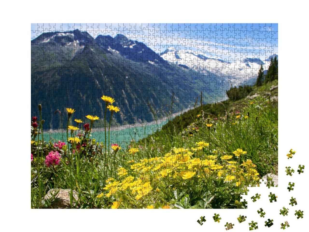 Puzzle de 1000 pièces « Alpes de Zillertal, Autriche »
