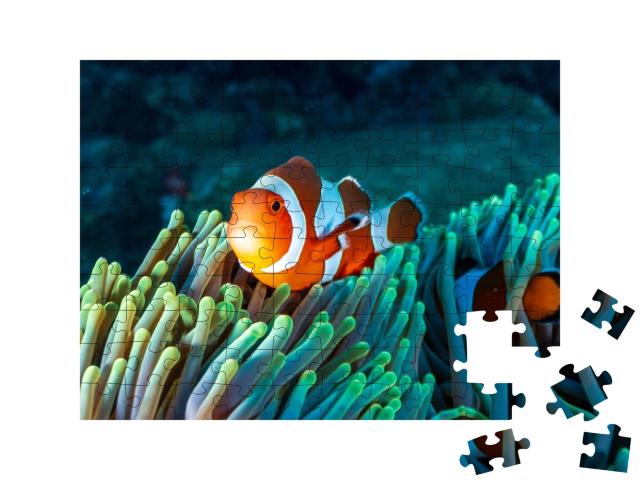 Puzzle de 100 pièces « Poisson-clown multicolore dans une anémone du récif corallien »