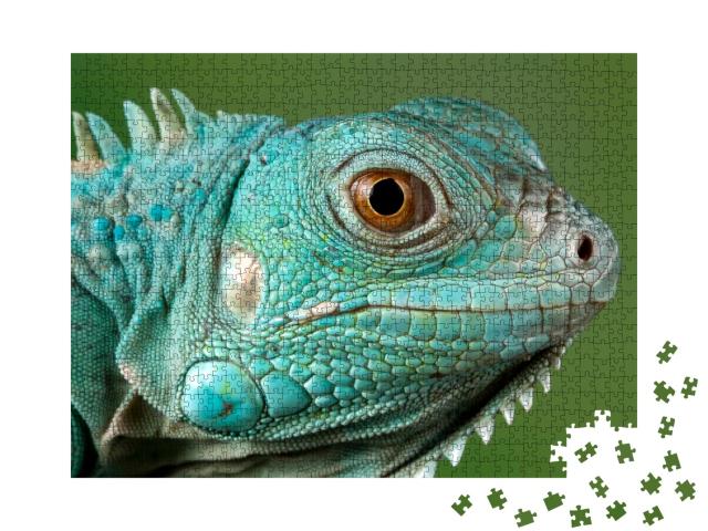 Puzzle de 1000 pièces « Iguane bleu »