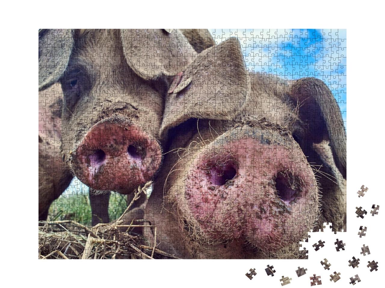 Puzzle de 1000 pièces « Des porcs heureux »