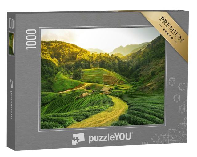 Puzzle de 1000 pièces « Vue d'une plantation de thé au lever du soleil »
