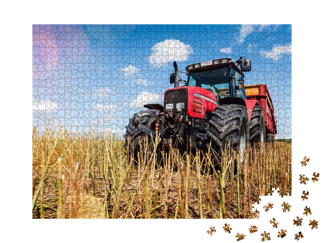 Puzzle de 1000 pièces « Un tracteur dans un champ de colza récolté »