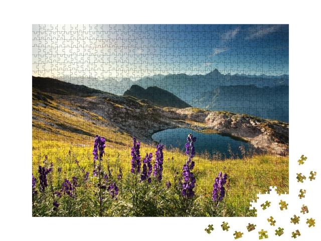 Puzzle de 1000 pièces « Fleurs sauvages sur une montagne près d'un lac alpin dans l'Allgäu »