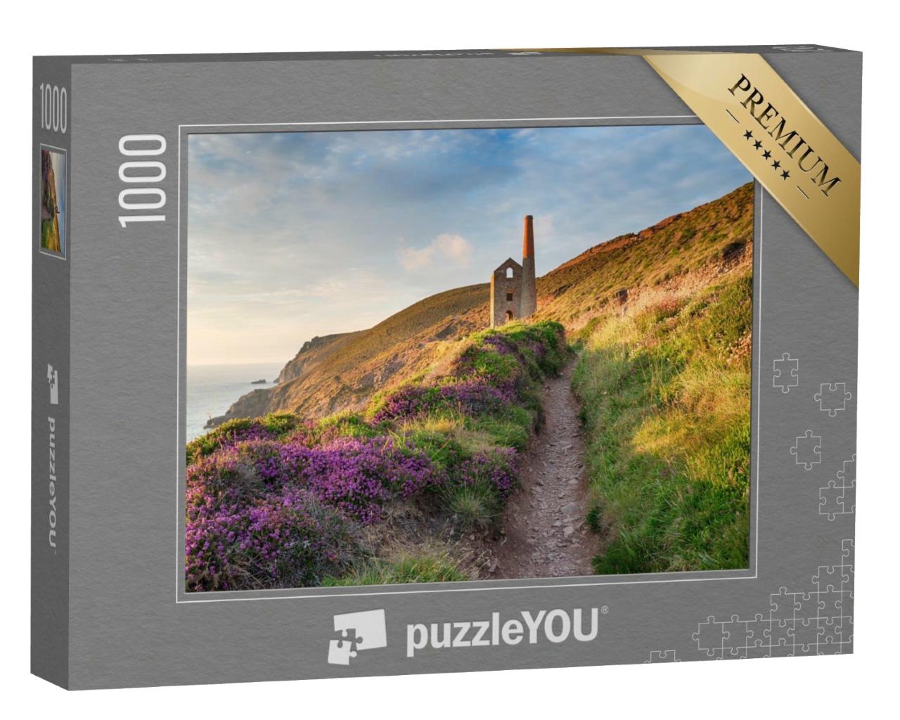 Puzzle de 1000 pièces « South West Coast Path sur la côte de Cornouailles »