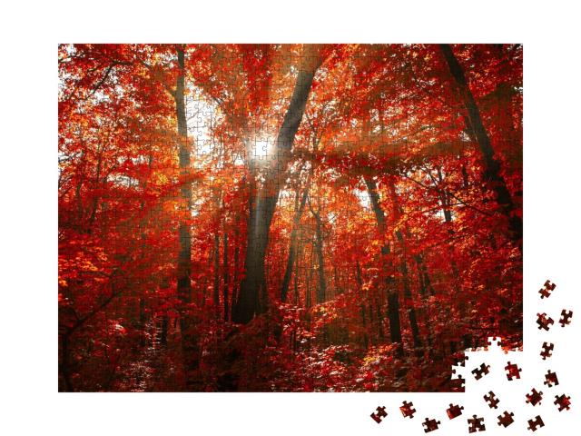 Puzzle de 1000 pièces « Forêt d'automne rouge avec lumière du soleil »