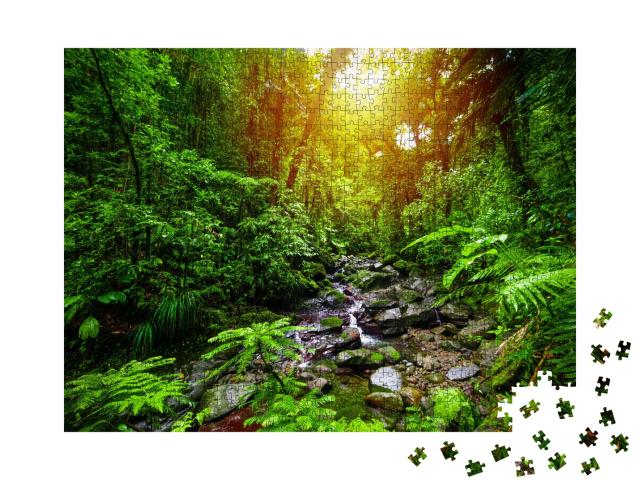 Puzzle de 1000 pièces « Petit ruisseau dans la jungle de Guadeloupe, Petites Antilles, Caraïbes »